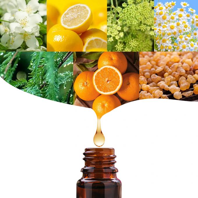 Ev Kadınların Göğüslerini Büyükleştirin Yüksek Satışlı Göğüs Genişletme Esanslı Yağı 10ml 2